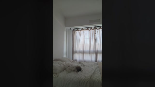MaiArgentina  05-09-2022